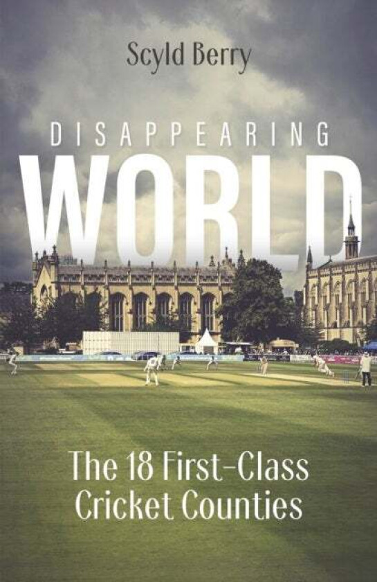 Disappearing World av Sclyd Berry