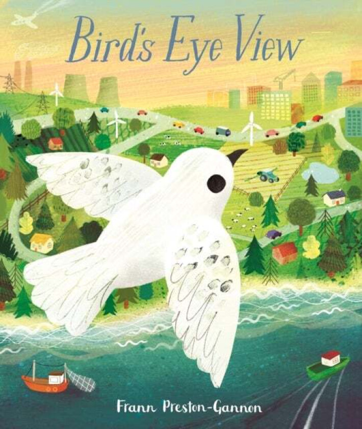 Bird's Eye View av Frann Preston-Gannon