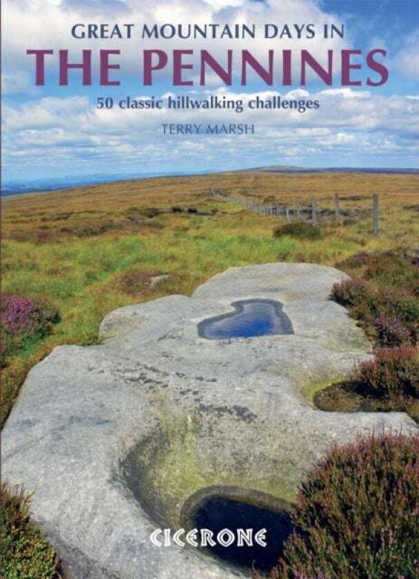Great Mountain Days in the Pennines av Terry Marsh