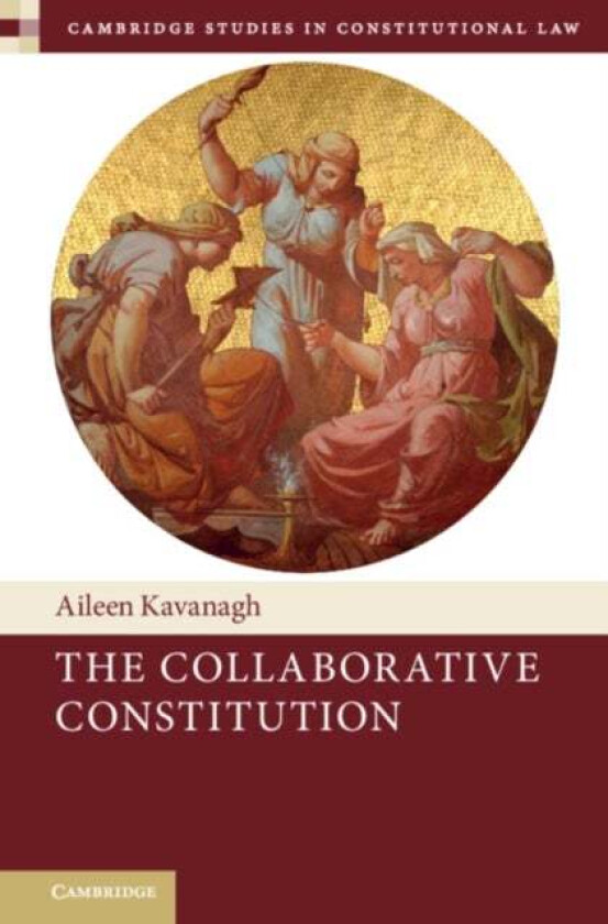 The Collaborative Constitution av Aileen (Trinity College Dublin) Kavanagh