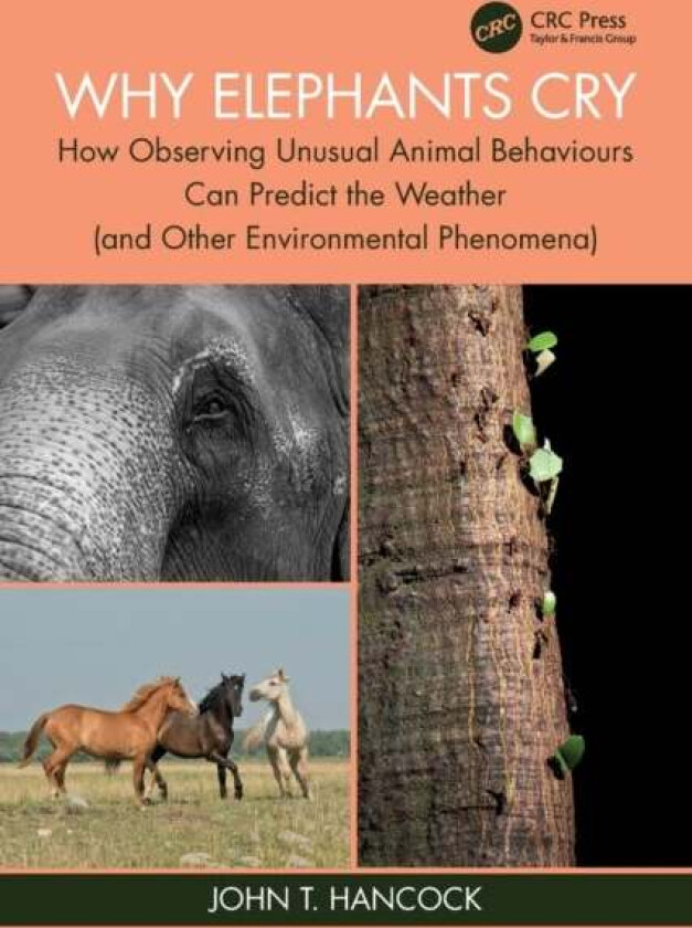 Why Elephants Cry av John T. (UWE Bristol) Hancock