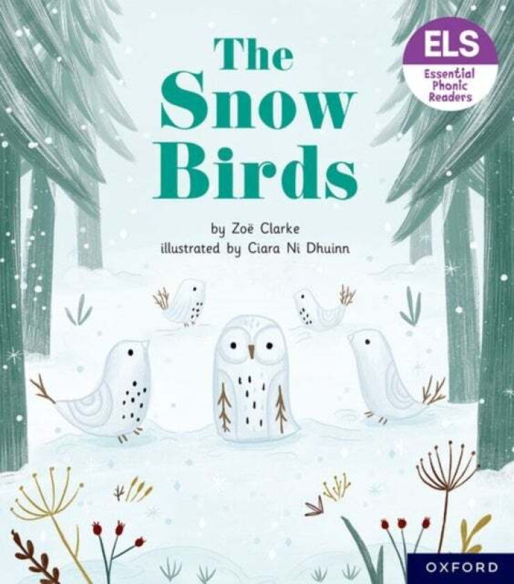 Essential Letters and Sounds: Essential Phonic Readers: Oxford Reading Level 5: The Snow Birds av Zoe Clarke