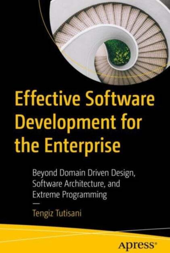 Effective Software Development for the Enterprise av Tengiz Tutisani