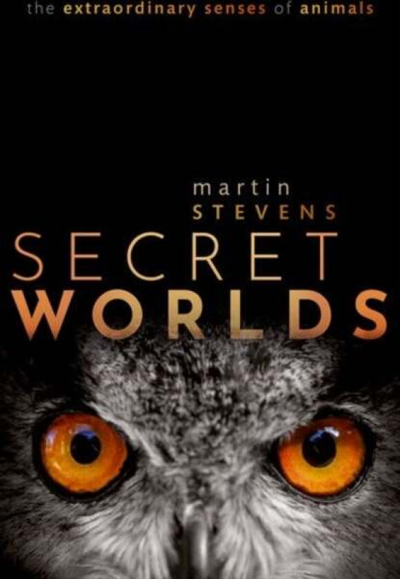 Secret Worlds av Martin (University of Exeter University Stevens