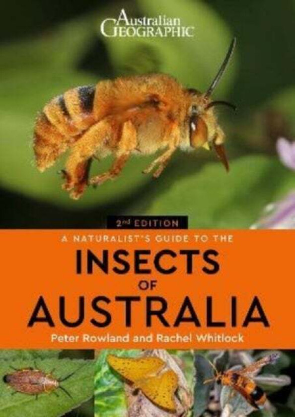 A Naturalist&#039;s Guide to the Insects of Australia av Peter Rowland