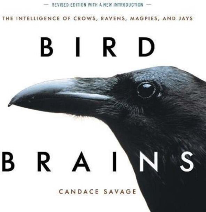 Bird Brains av Candace Savage