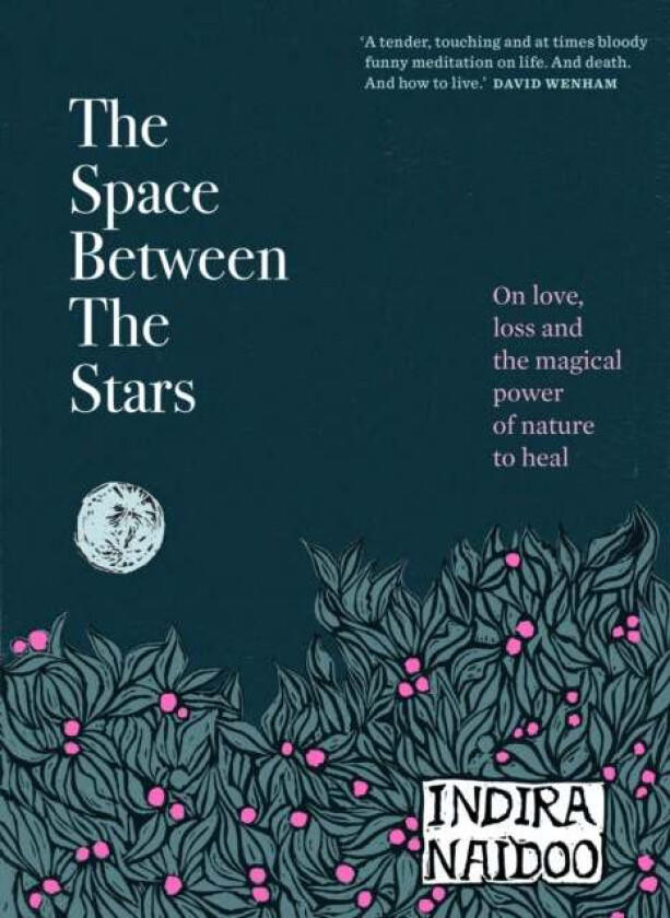 The Space Between the Stars av Indira Naidoo