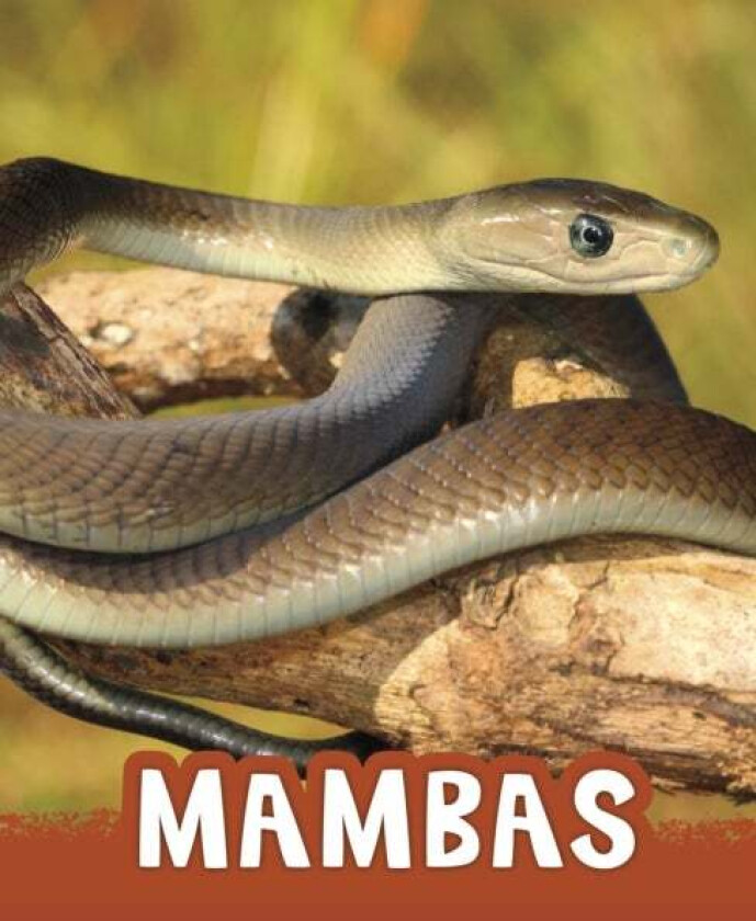 Mambas av Jaclyn Jaycox