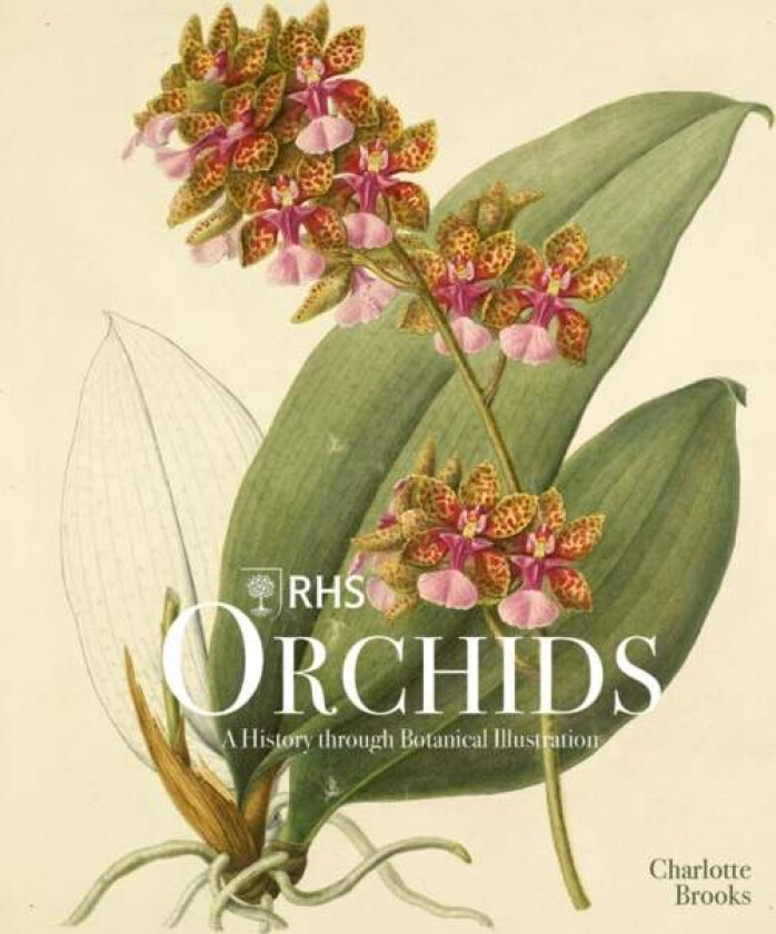 RHS Orchids av Charlotte Brooks