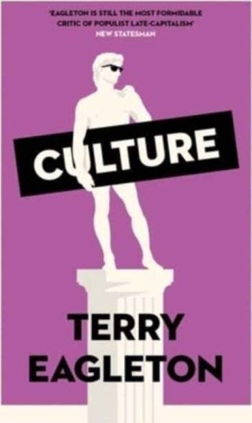 Culture av Terry Eagleton
