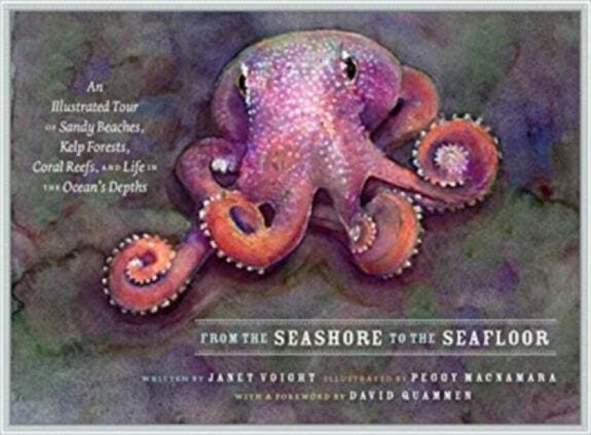From the Seashore to the Seafloor av Janet Voight
