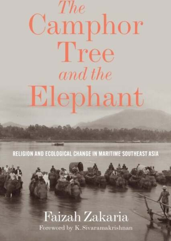 The Camphor Tree and the Elephant av Faizah Zakaria