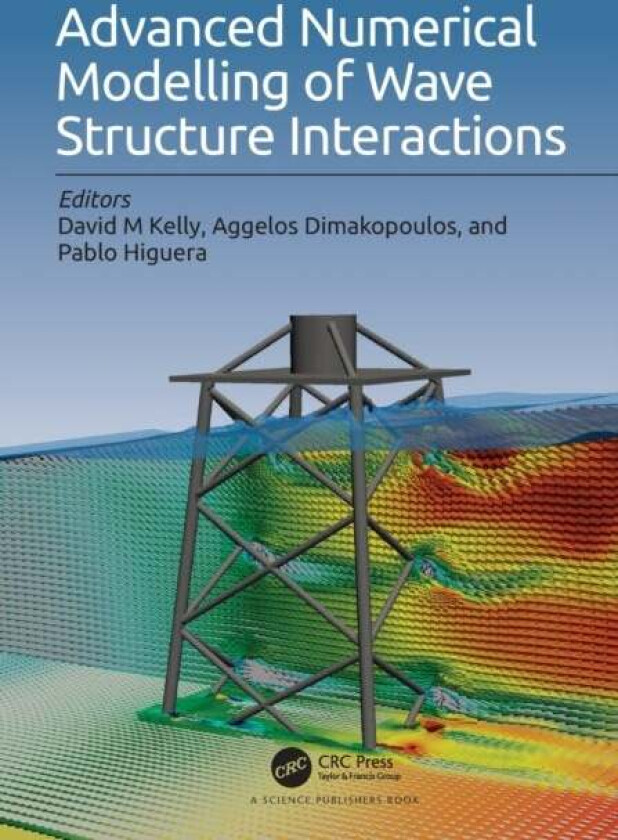 Advanced Numerical Modelling of Wave Structure Interaction