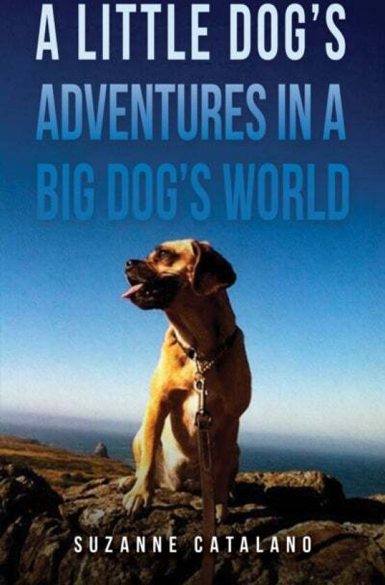 A Little Dog's Adventures in a Big Dog's World av Suzanne Catalano