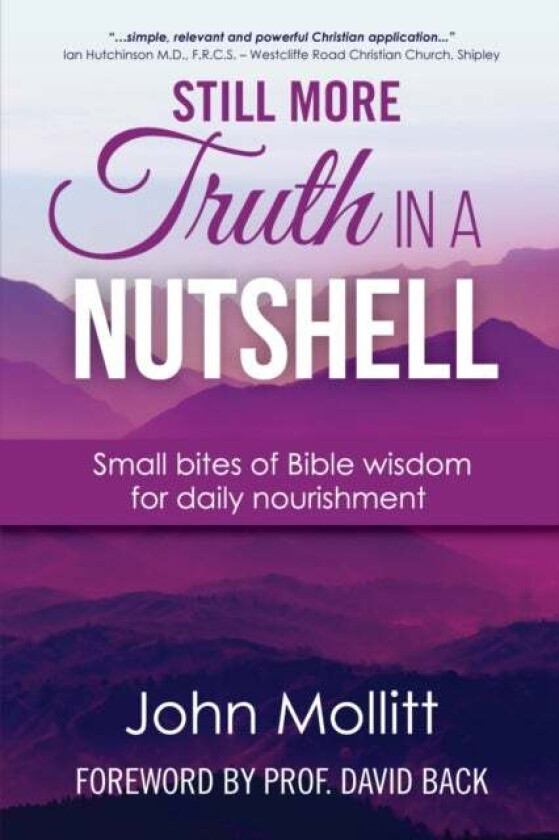 Still More Truth in a Nutshell av John Mollitt