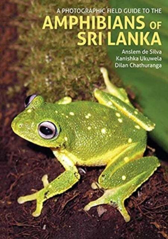 A Photographic Field Guide to the Amphibians of Sri Lanka av Anselm de Silva, Kanishka Ukuwela, Dilan Chathuranga