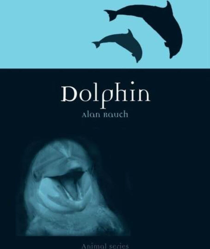 Dolphin av Alan Rauch