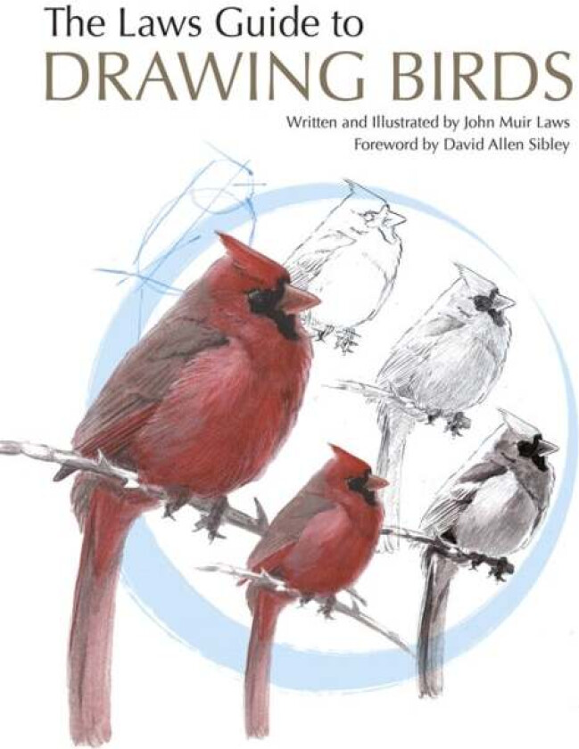 The Laws Guide to Drawing Birds av John Muir Laws