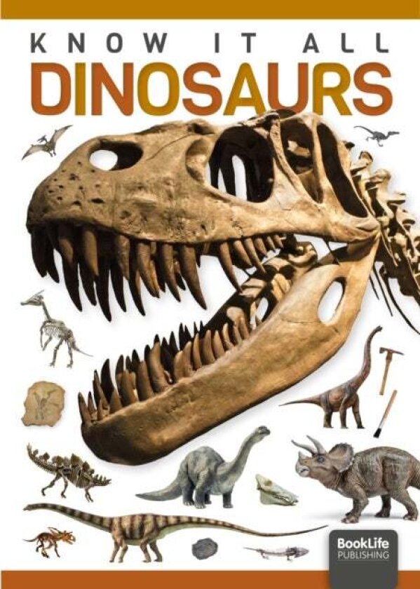Dinosaurs av Louise Nelson