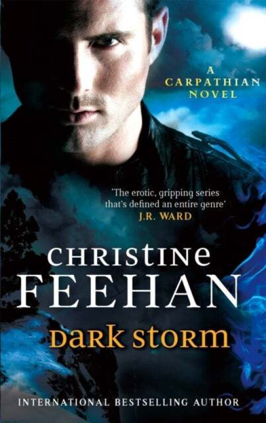 Dark Storm av Christine Feehan