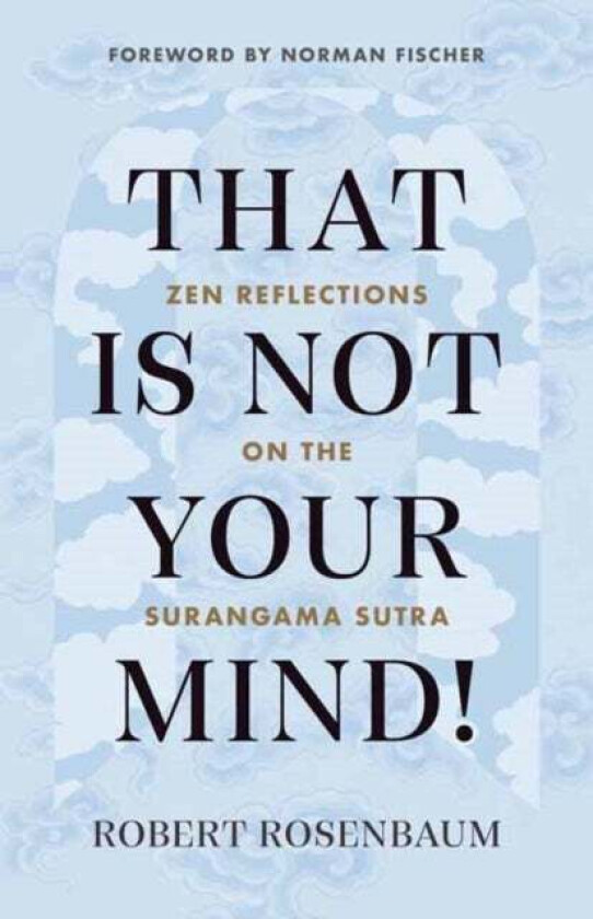 That Is Not Your Mind! av Robert Rosenbaum