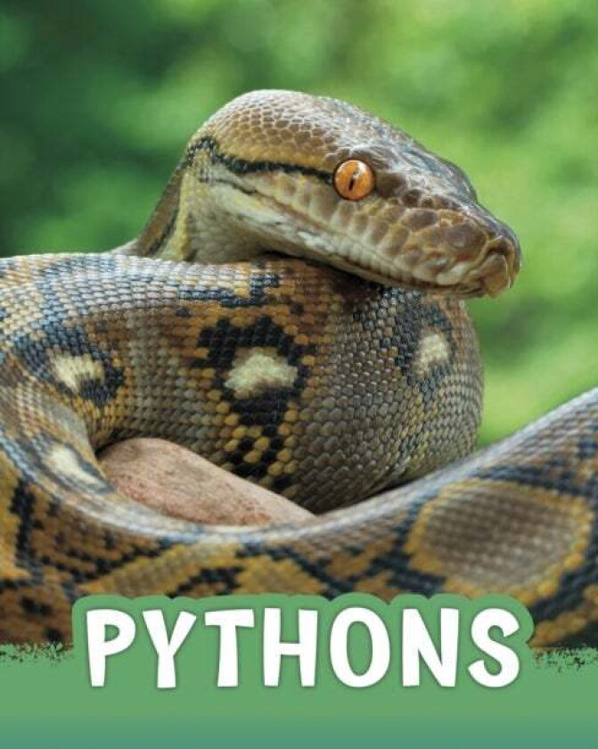 Pythons av Martha E. H. Rustad