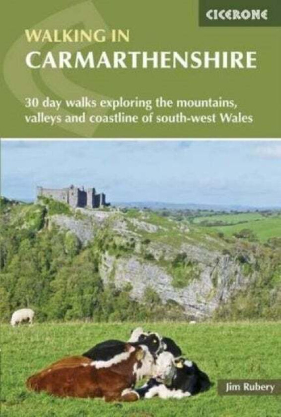 Walking in Carmarthenshire av Jim Rubery