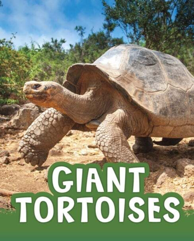 Giant Tortoises av Jaclyn Jaycox