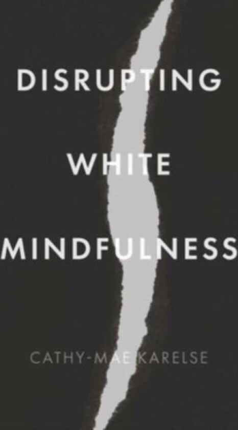 Disrupting White Mindfulness av Cathy-Mae Karelse