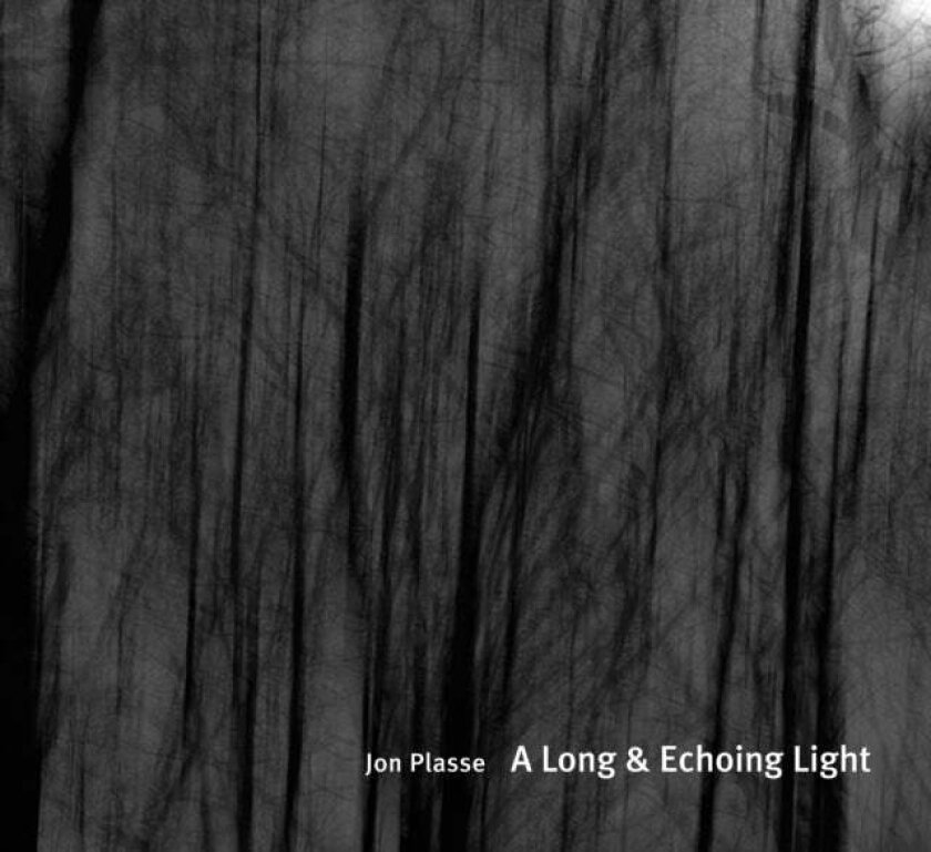 A Long and Echoing Light av Jon Plasse