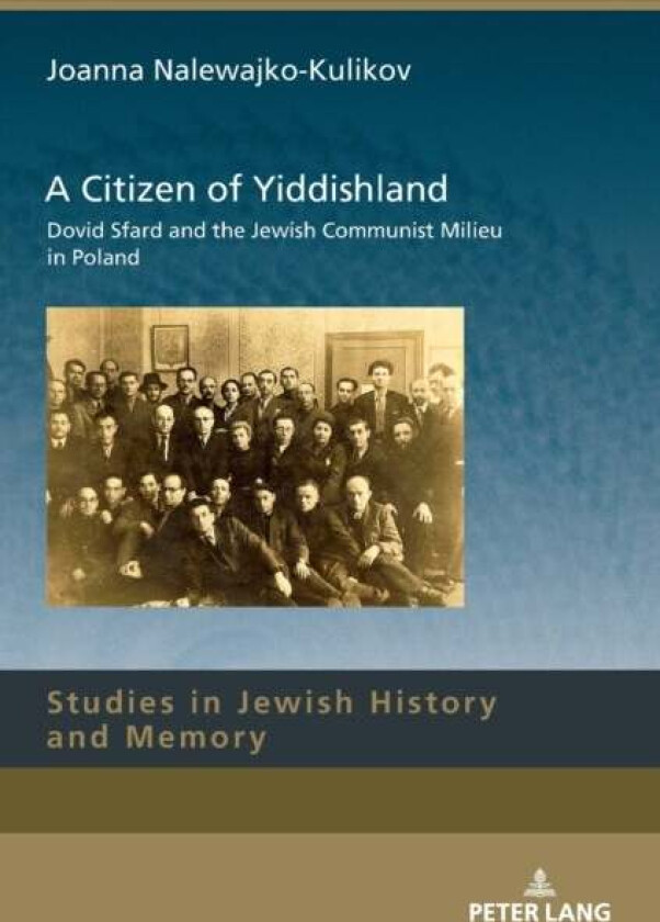 A Citizen of Yiddishland av Joanna Nalewajko-Kulikov