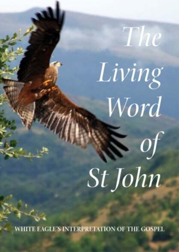 The Living Word of St John av White Eagle, Ylana Hayward