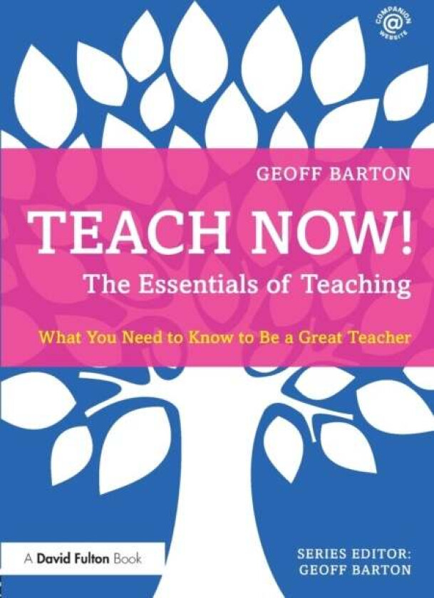Teach Now! The Essentials of Teaching av Geoff Barton