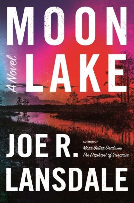 Moon Lake av Joe R. Lansdale