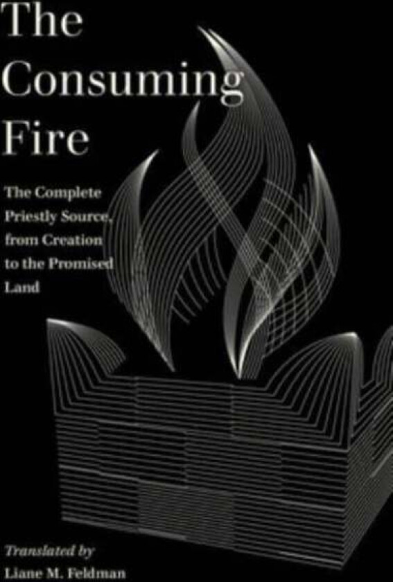 The Consuming Fire av Liane M. Feldman