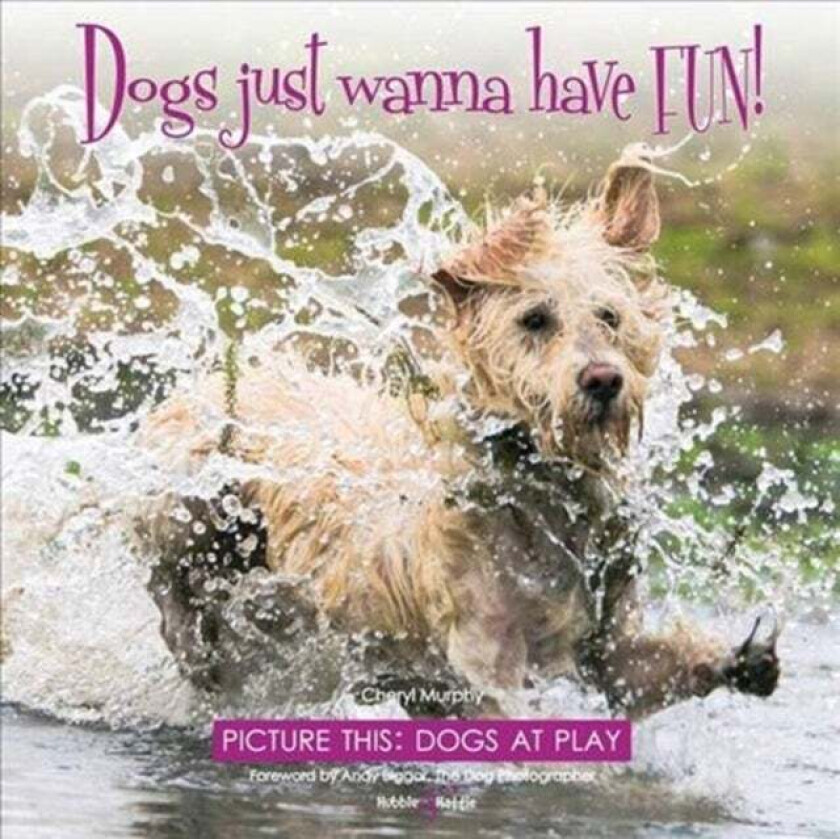 Dogs just wanna have FUN! av Cheryl Murphy