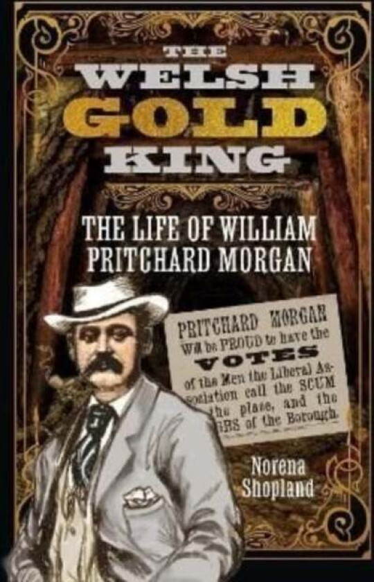 The Welsh Gold King av Norena Shopland