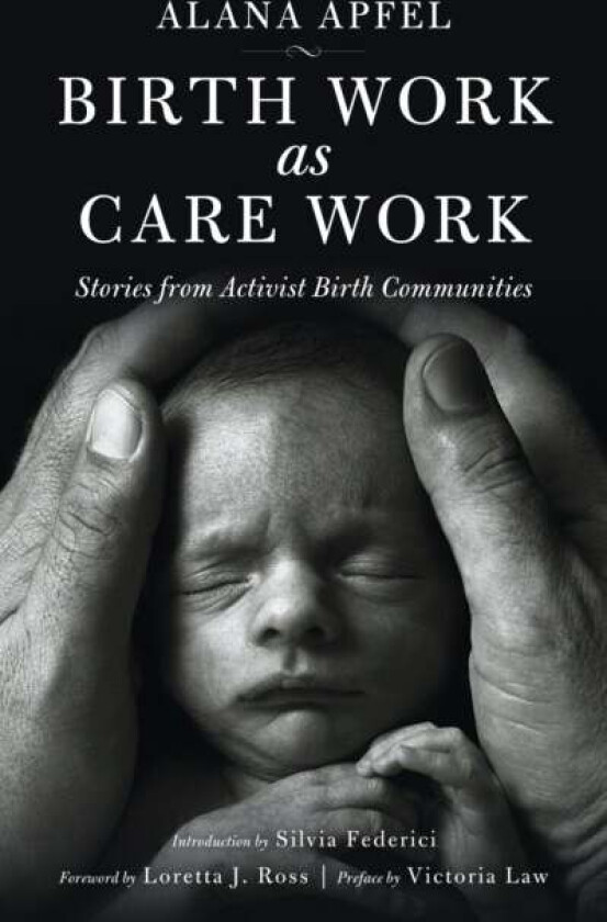 Birth Work As Care Work av Alana Apfel