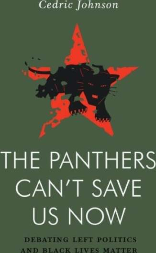 The Panthers Can't Save Us Now av Cedric G. Johnson