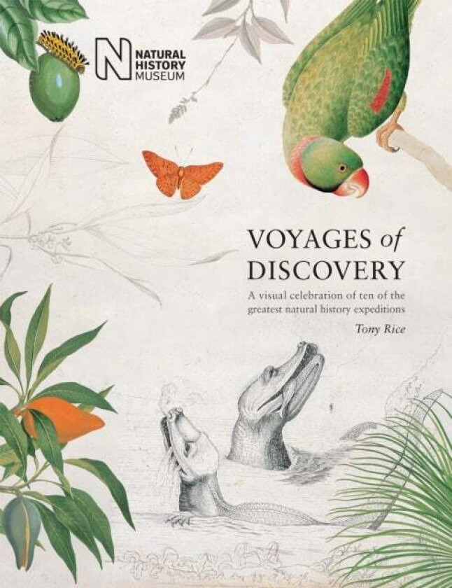 Voyages of Discovery av Tony Rice