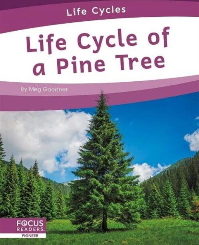 Life Cycles: Life Cycle of a Pine Tree av Meg Gaertner