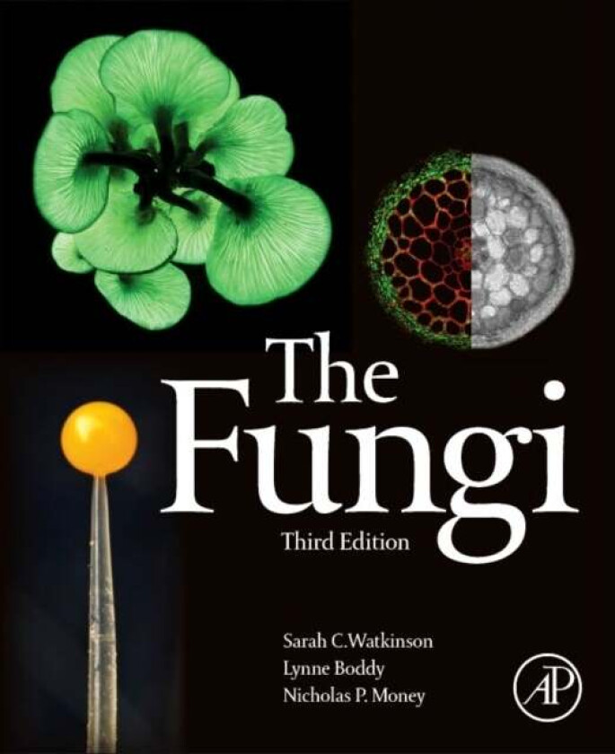 The Fungi av Sarah C. (University of Oxford UK) Watkinson, Lynne (School of Bioscience Cardiff University UK) Boddy, Nicholas (Miami University Oxford