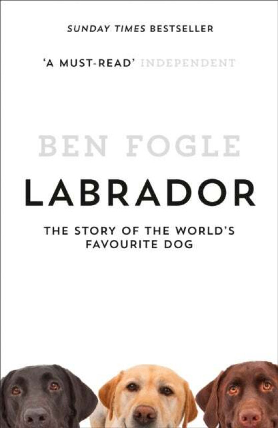 Labrador av Ben Fogle