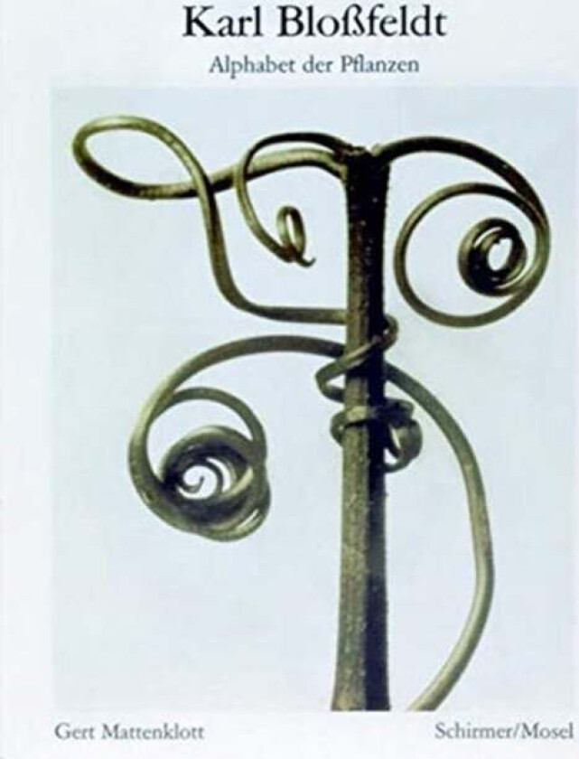 Karl Blossfeldt: Alphabet of Plants