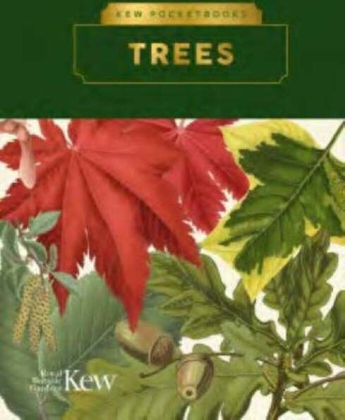 Kew Pocketbooks: Trees av Kevin Martin