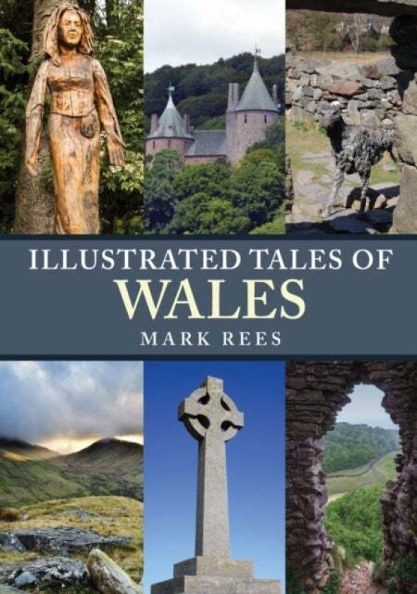 Illustrated Tales of Wales av Mark Rees