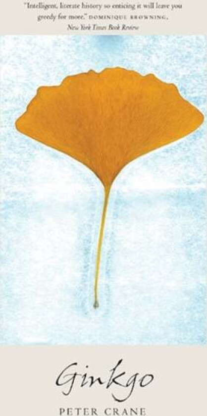Ginkgo av Peter Crane