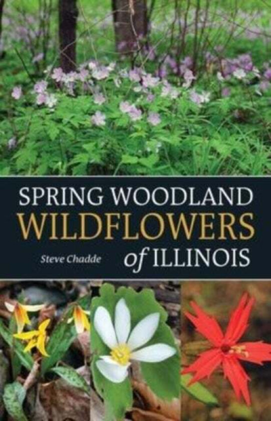 Spring Woodland Wildflowers of Illinois av Steve Chadde