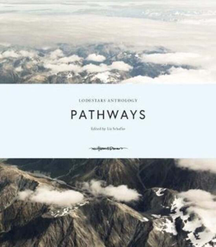 Lodestars Anthology av Liz Scaffer
