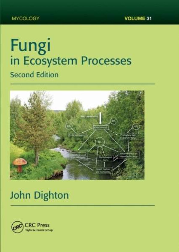 Fungi in Ecosystem Processes av John (Rutgers University Pinelands Field Station New Lisbon New Jersey USA) Dighton